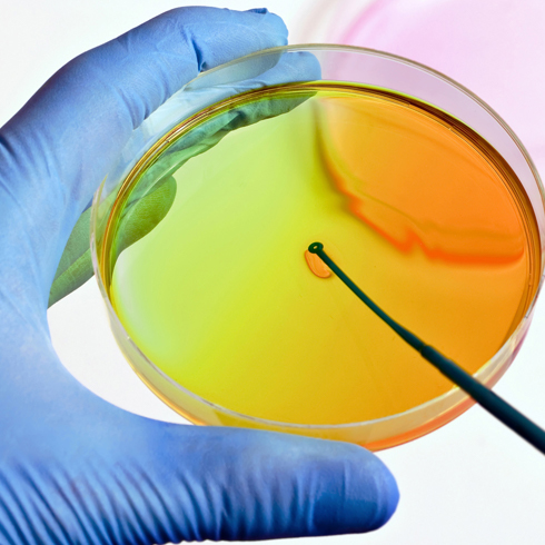 Échantillonnage microbiologique dans le cadre de la qualification des salles blanches Échantillonnage microbiologique dans le cadre de la qualification des salles blanches