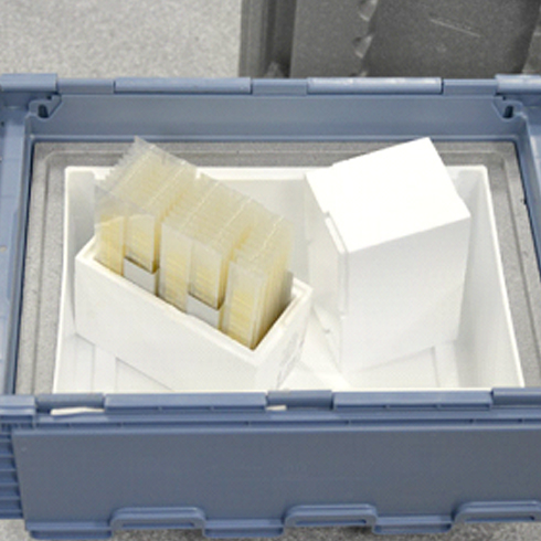 Qualifizierung eines Verpackungssystems