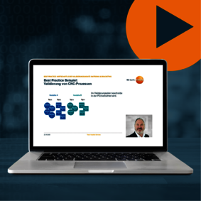 Bildausschnitt vom Live-Webinar Wirtschaftliche Validierung: Matrixing & Bracketing