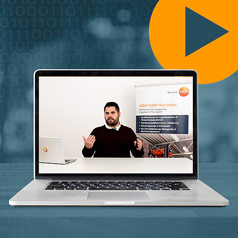 Webinar – Risikobasierte Klimaverteilungsmessung Impression aus dem Webinar – Risikobasierte Klimaverteilungsmessung